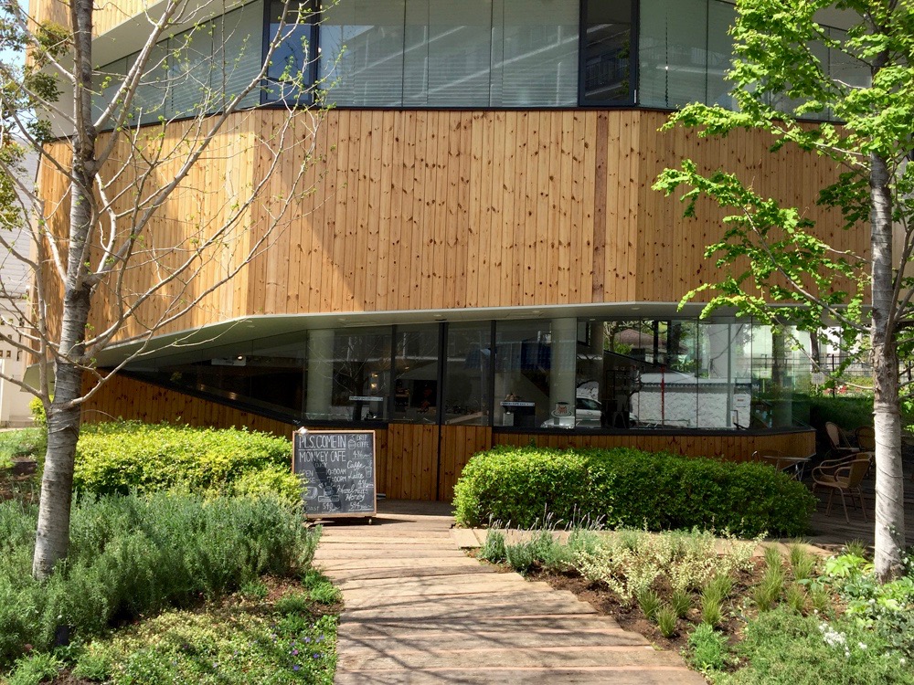 代官山のカフェ植栽 En景観設計株式会社