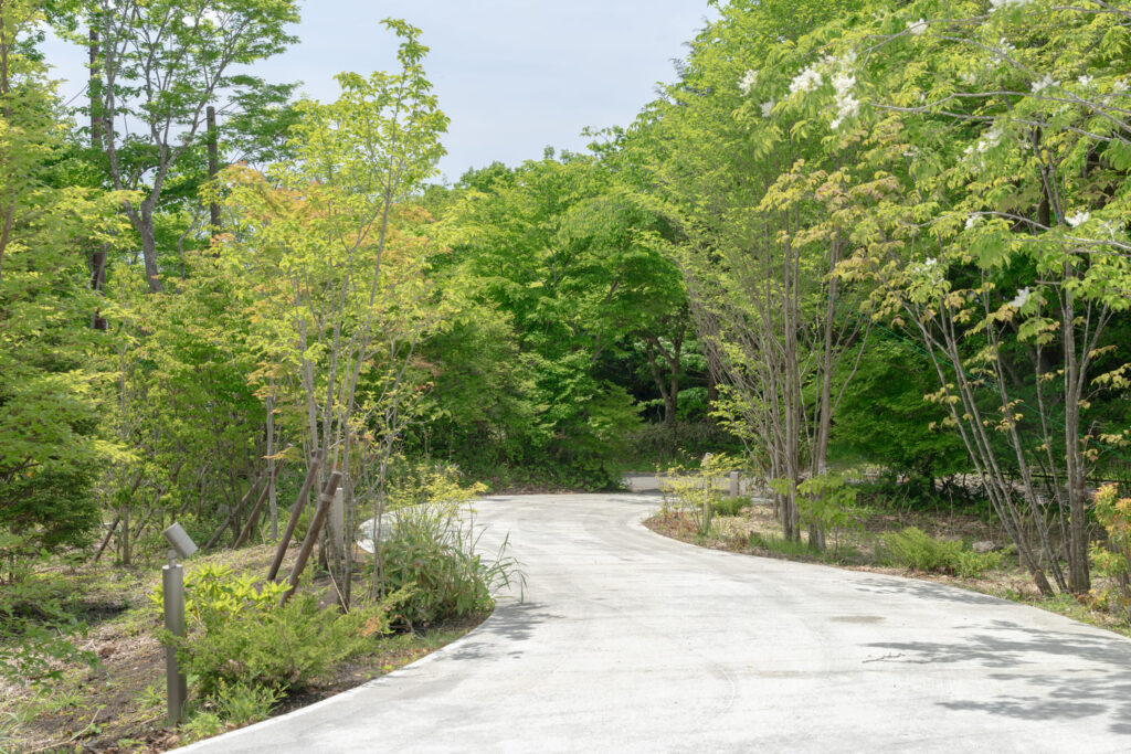 新緑のアプローチが美しい住宅外構｜自然素材のランドスケープデザイン